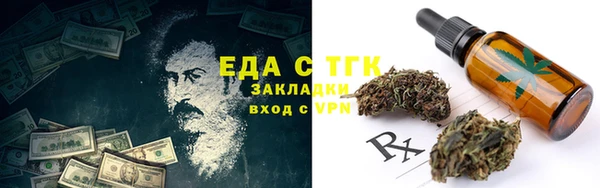 ECSTASY Бородино
