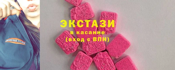 ECSTASY Бородино