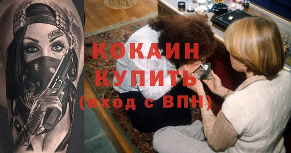 ECSTASY Бородино