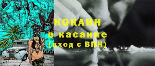 ECSTASY Бородино