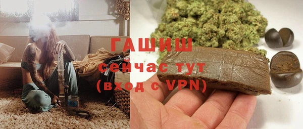 ECSTASY Бородино