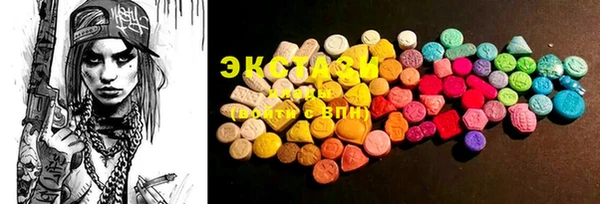 ECSTASY Бородино