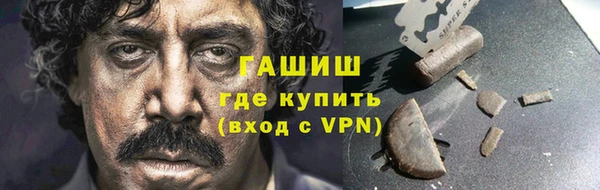 ECSTASY Бородино