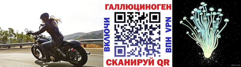 Галлюциногенные грибы прущие грибы  купить закладку  Мончегорск 